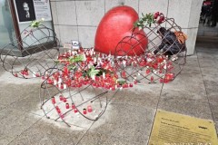 IMG_20191117_105727