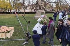 IMG_20191117_151116