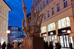 IMG_20191117_163647