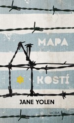 Mapa kosti