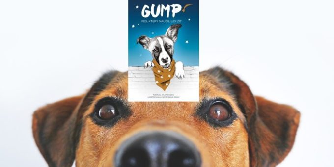 dog 838281 1280