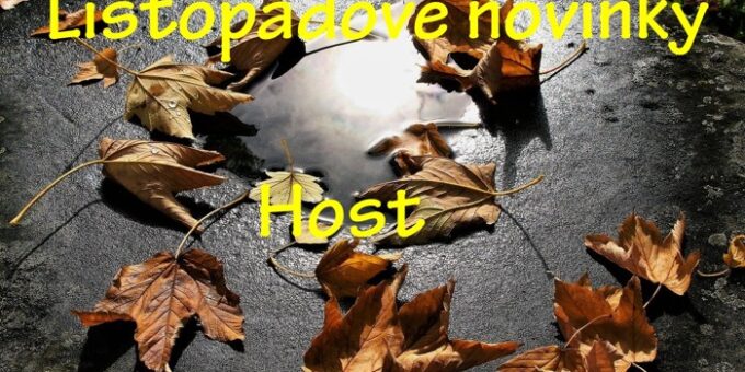 autumn 3648737 1280 kopie 4