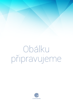 První chyba První chyba